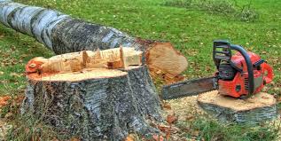 Best Stump Grinding and Removal  in Leisure Knoll, NJ